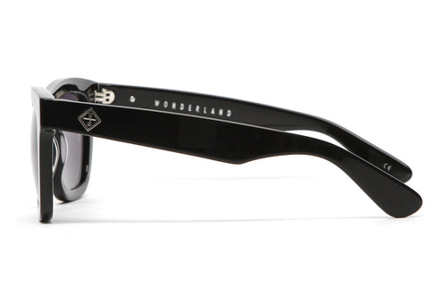 Palms Sunglasses (Gloss Black/Gray)