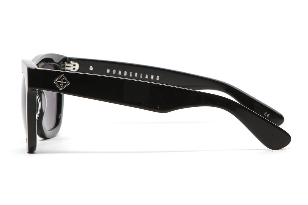 Palms Sunglasses (Gloss Black/Gray)